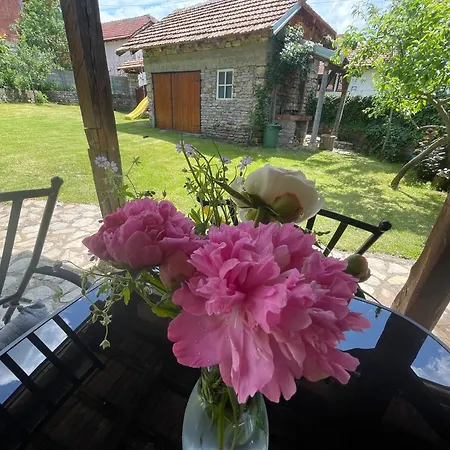 Kuca Mitica 別荘 ピロト